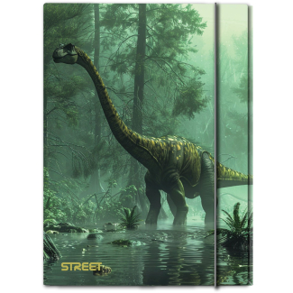 Папка с ластик Street Dino A4, 1 cm