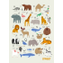 Бележник А6, 40 листа, WILDLIFE